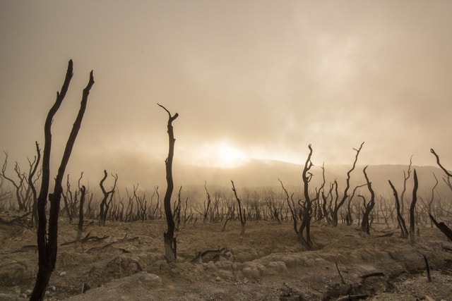 Hate heatwaves? Droughts? How about both at the same time ...