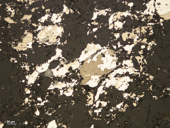 Reflected light photomicrograph of a section of the primitive enstatite chondrite ALH 77295.