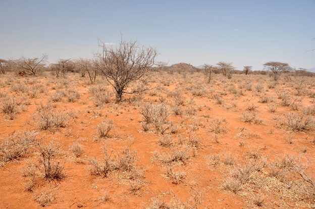 Arid lands transform abruptly as aridity increases - TheScienceBreaker