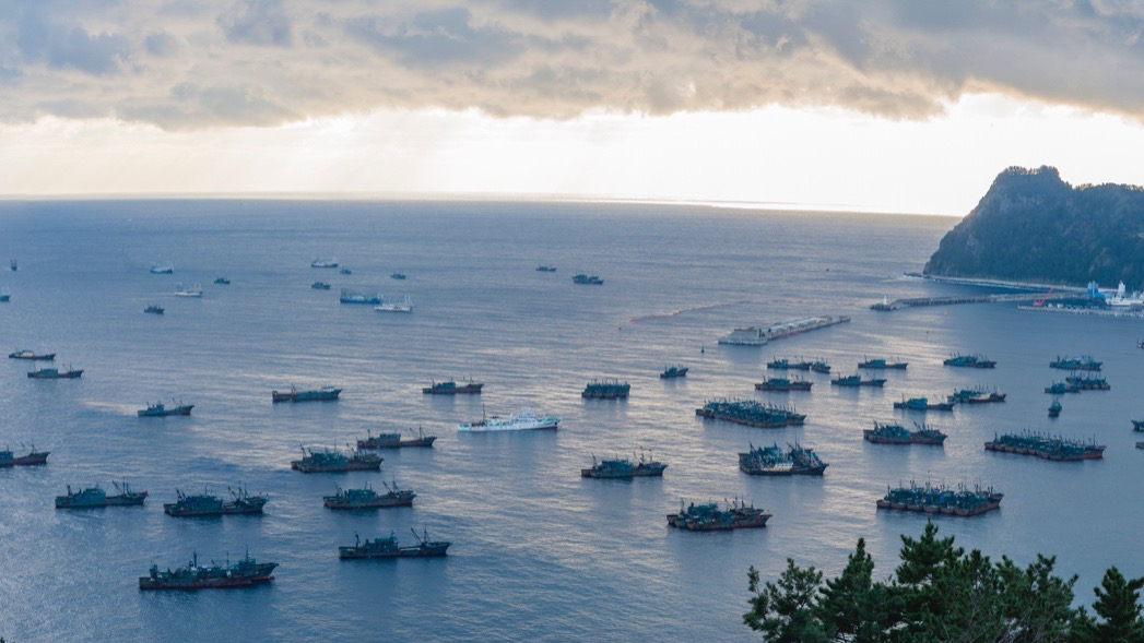 Chinese vessels anchored in Sadong port, Ulleung-do, South Korea